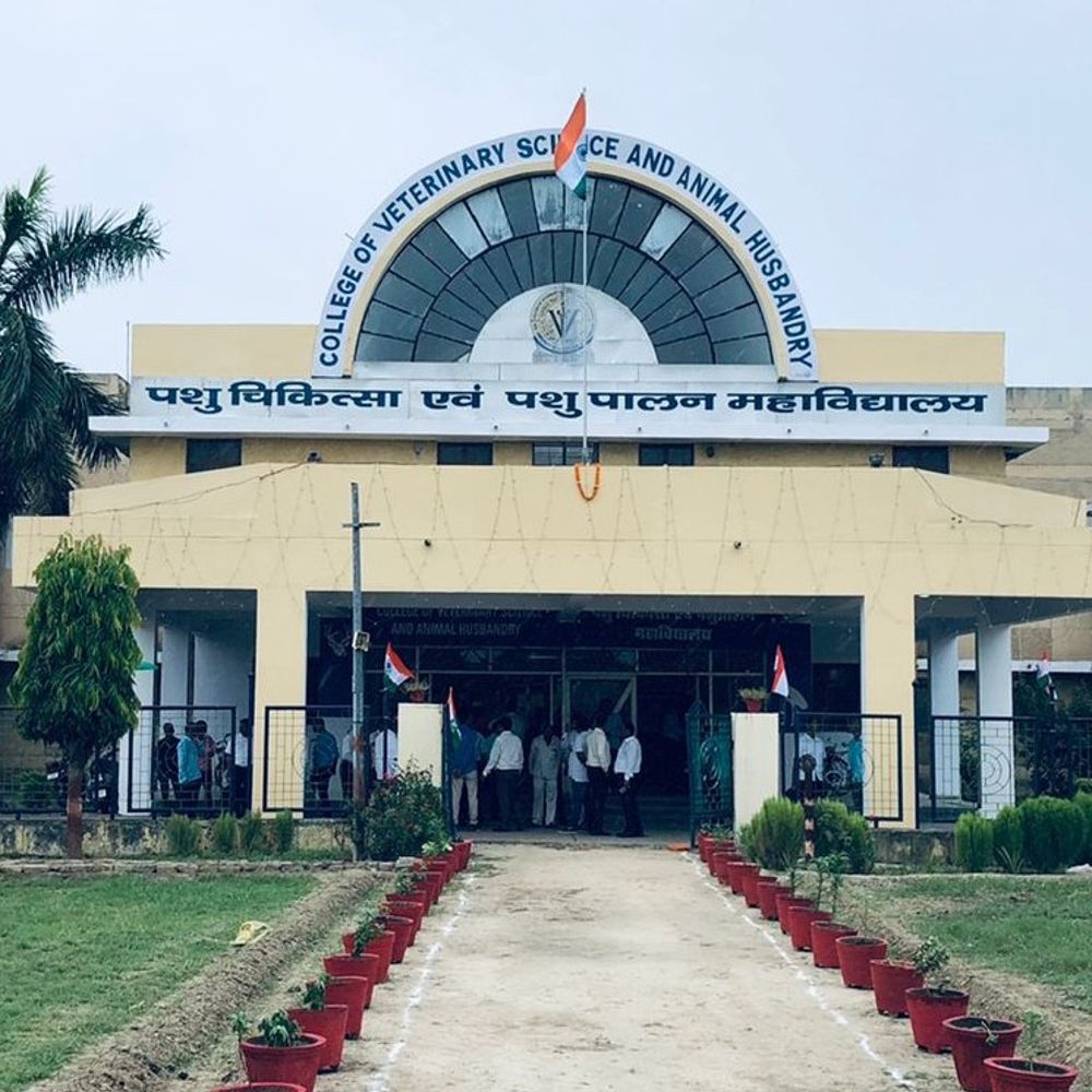 अंकित कौशिक का ICAR-INLEAD फेलोशिप में चयन:आचार्य नरेंद्र देव कृषि विश्वविद्यालय का है छात्र