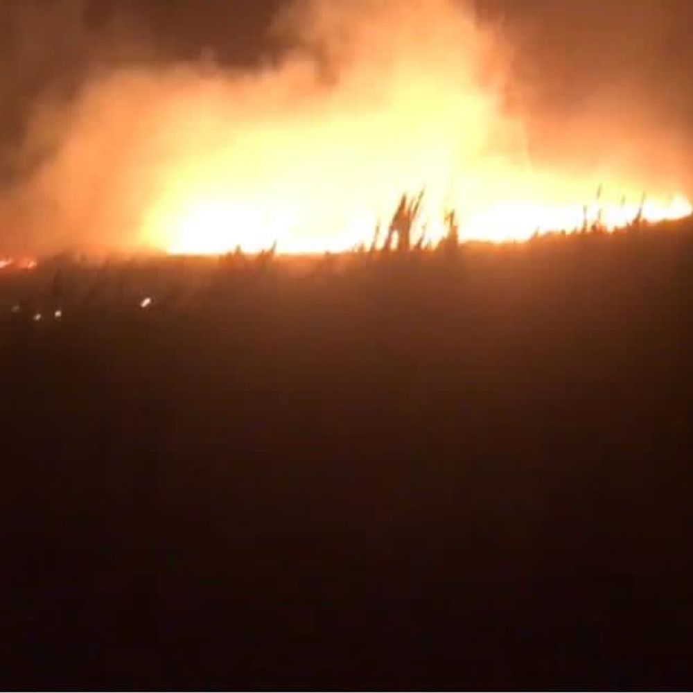 मेरठ में हाईटेंशन लाइन से लगी आग:किसान की 11 बीघा गेहूं की फसल जलकर राख