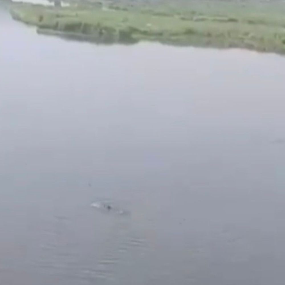 बदायूं में लापता बुजुर्ग का शव मिला:गांव के तालाब में उतराता मिला, पुलिस ने जांच शुरू की