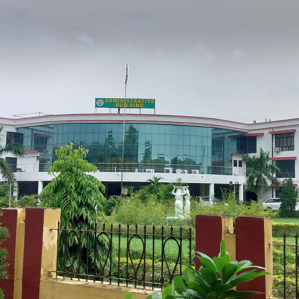 प्रभारी सुरक्षा अधिकारी की नियुक्ति पर मांगी जन सूचनाएं:एसोसिएट प्रोफेसर डॉ. विनोद कुमार सिंह से जुड़ी जानकारी RTI के तहत मांगी