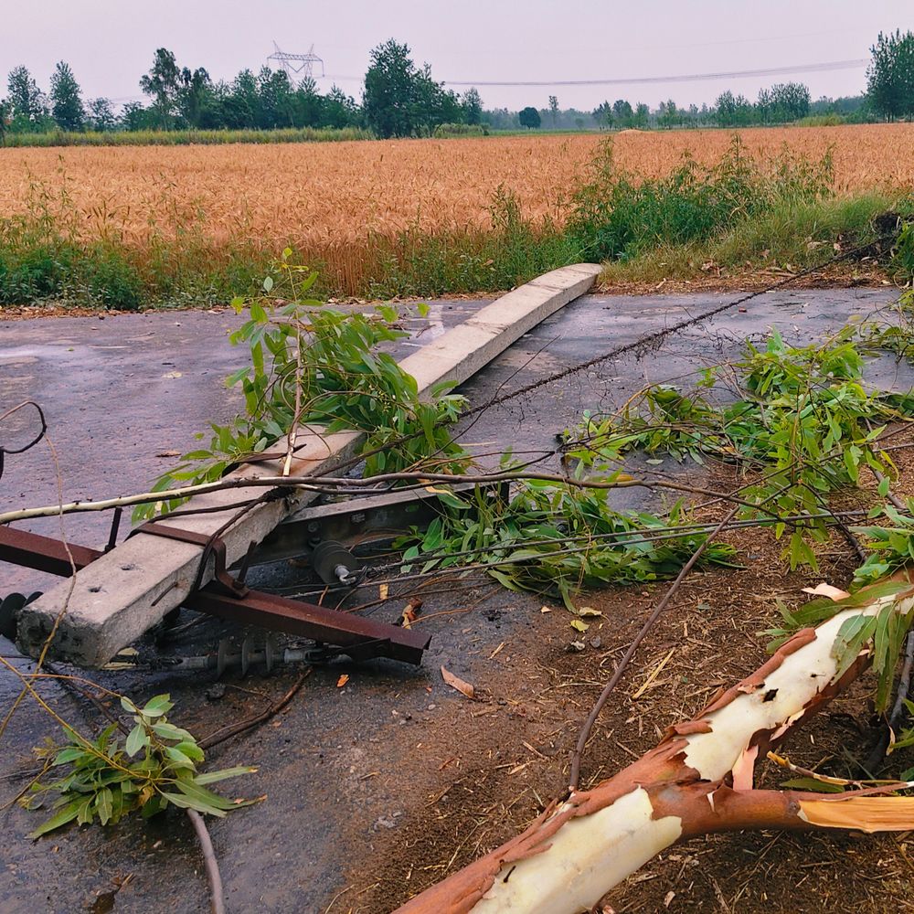 मुजफ्फरनगर में आंधी के बाद बारिश, 32 डिग्री पहुंचा तापमान:पेड़ टूटकर बिजली के खंभे पर गिरा, रास्ता हो गया ब्लॉक