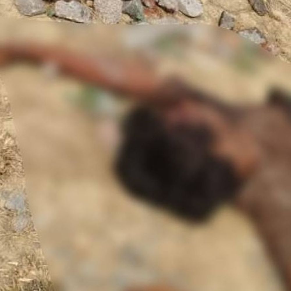 बृजमनगंज में अज्ञात युवक का शव मिला:दाहिना पैर कटकर अलग, जांच में जुटी पुलिस