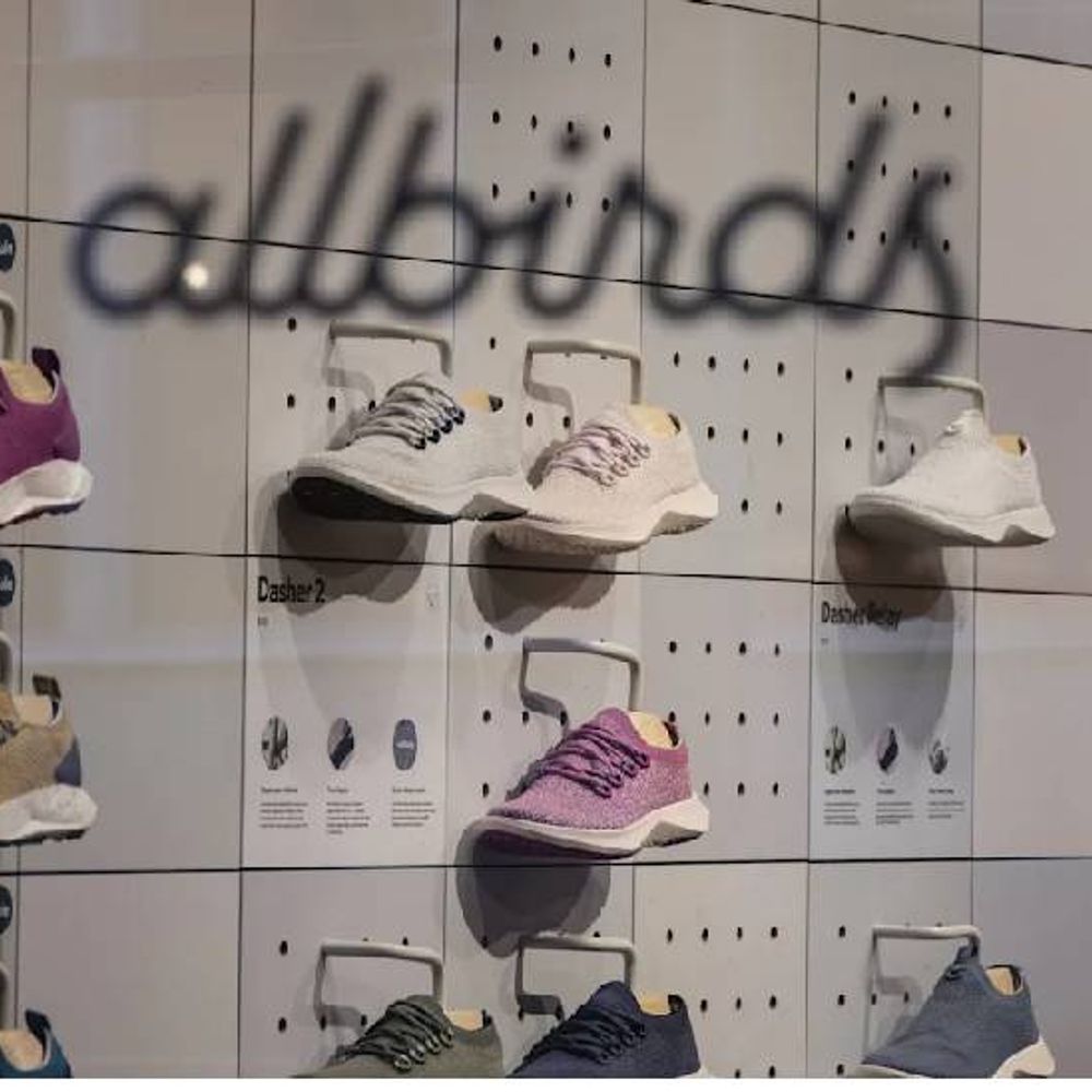 फुटवियर ब्रांड के नाम में जुड़ा ‘एआई’, शेयर उछले 582%:सिलिकॉन वैली का स्टेटस सिंबल रहा ऑलबर्ड्स ब्रांड अब ‘जीपीयू’ के कारोबार में उतरा