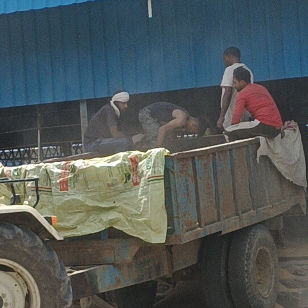 शामली मंडी में सरकारी चबूतरों पर अवैध कब्जा:व्यापारियों की शिकायत के बावजूद कार्रवाई नहीं, गेहूं क्रय केंद्र प्रभावित