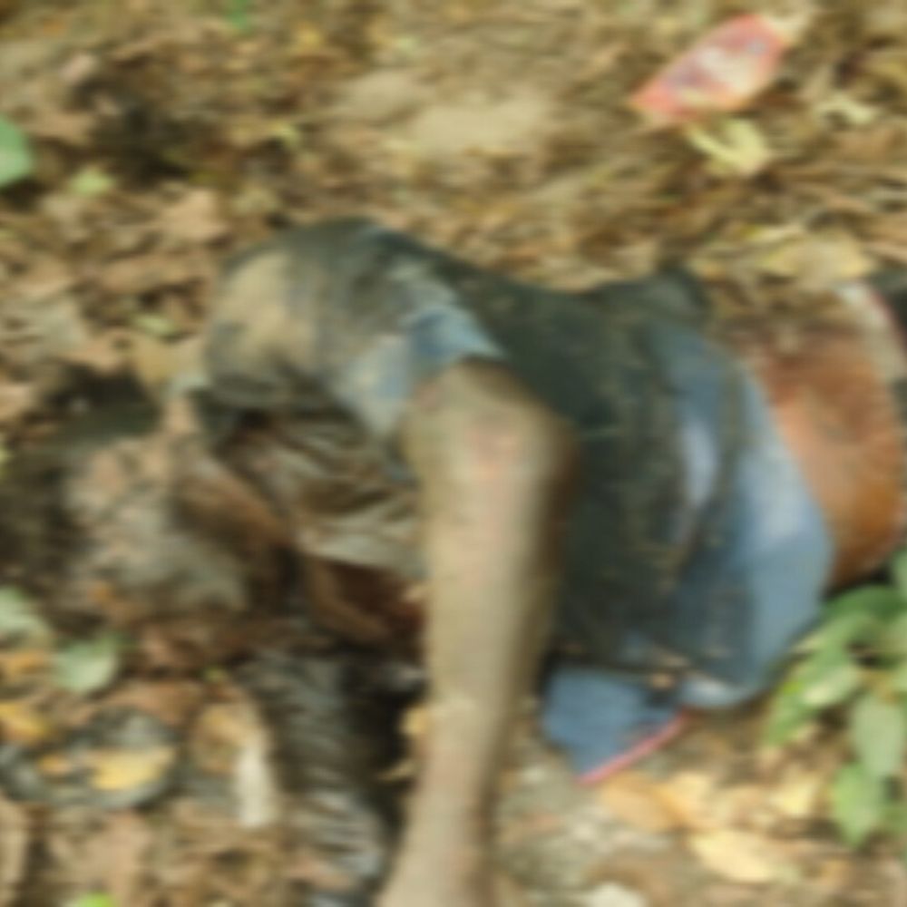 सड़क किनारे 40 फीट गड्ढे में मिला युवक का शव:नवाबगंज में पुराने सरयू पुल के पास की घटना; पुलिस शिनाख्त में जुटी