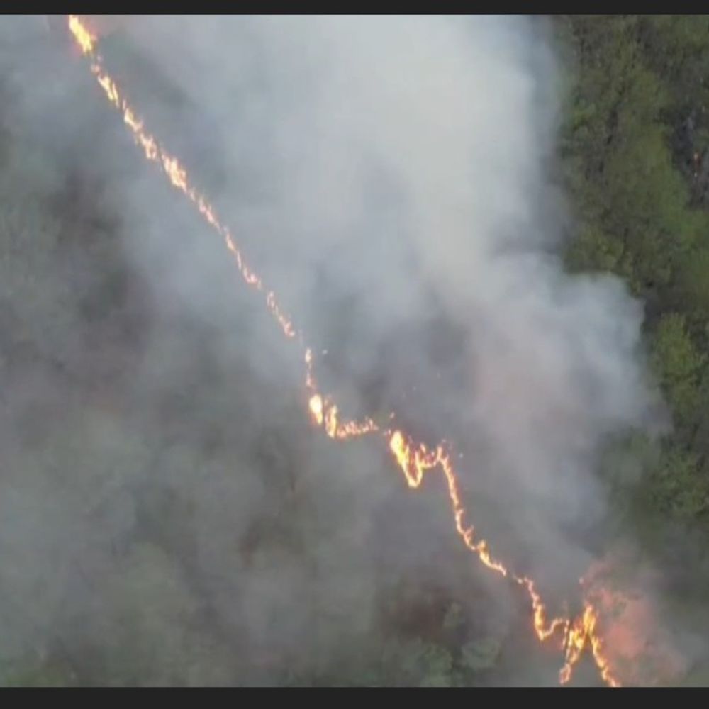 मंडी में जंगल में आग लगाने वाले जाएंगे जेल:  जुर्माना भी लगाया जाएगा, वन विभाग ने बनाई योजना, फायर सीजन शुरू – Mandi (Himachal Pradesh) News