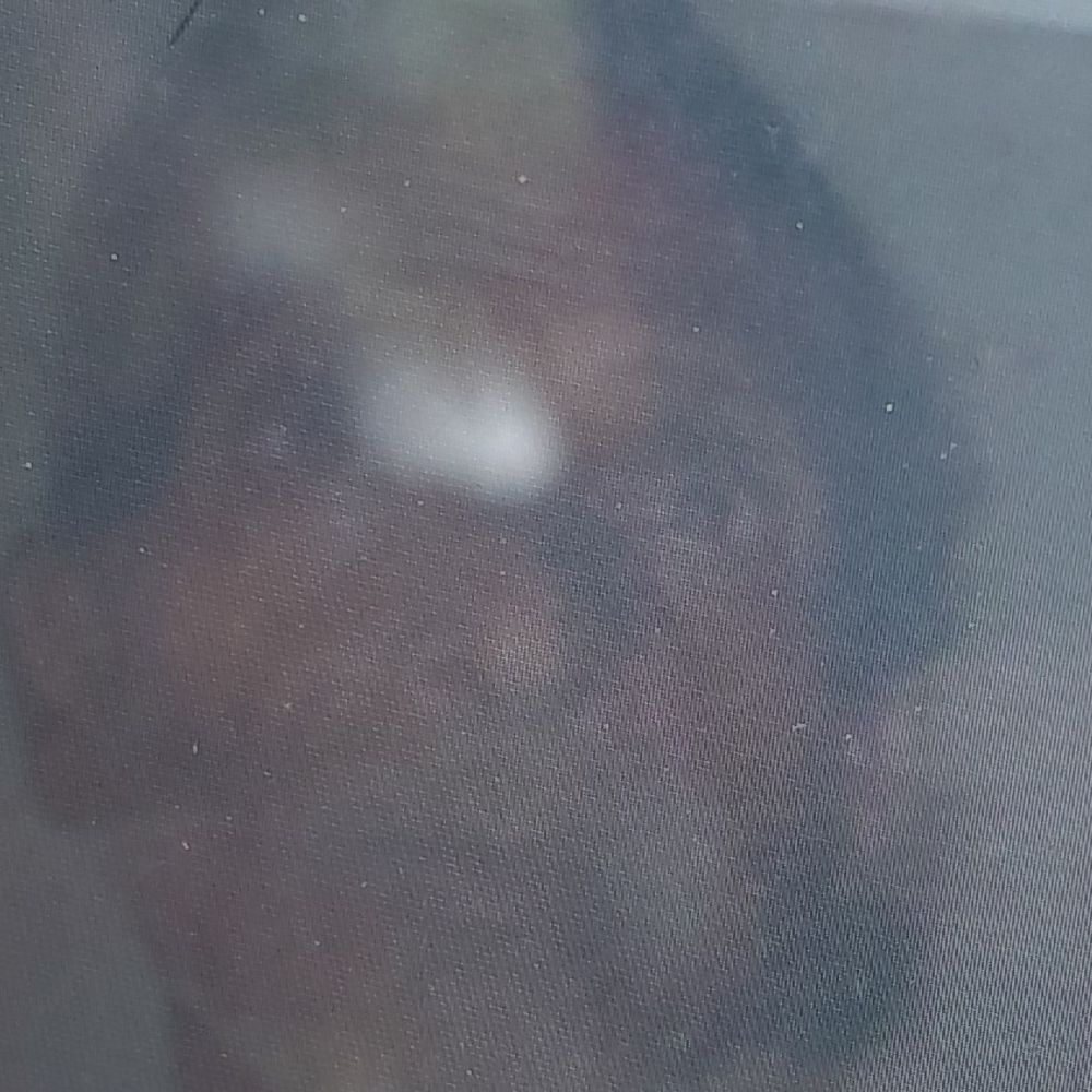 फर्रुखाबाद में कार की टक्कर से बुजुर्ग की मौत:खेत के पास खड़े व्यक्ति को ईको ने मारी टक्कर, चालक फरार