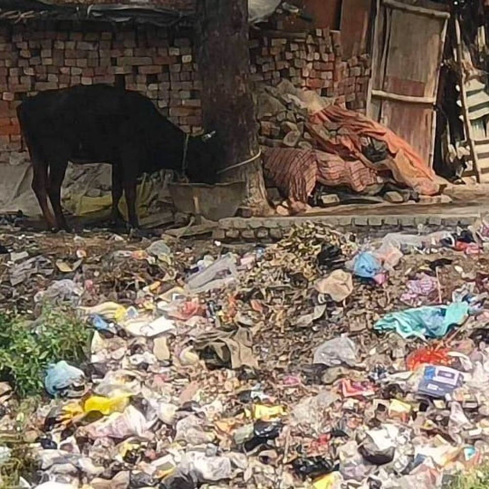 चंदौली के केशवपुर गांव में कई महीने से सफाईकर्मी नहीं:गलियों से सचिवालय तक गंदगी का अंबार, संक्रामक बीमारियों का बना खतरा