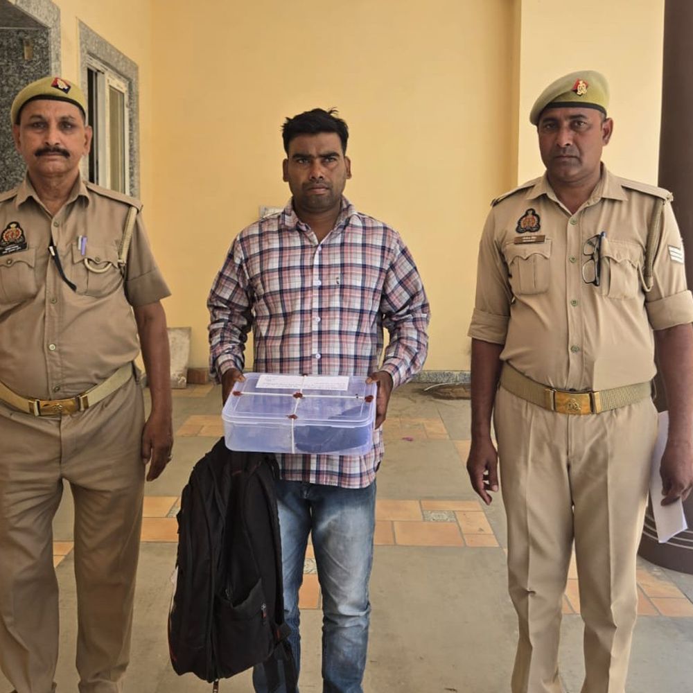 बरेली में किसान 15 लाख की अफीम संग गिरफ्तार:कर्ज और जुए की लत ने बनाया ड्रग तस्कर