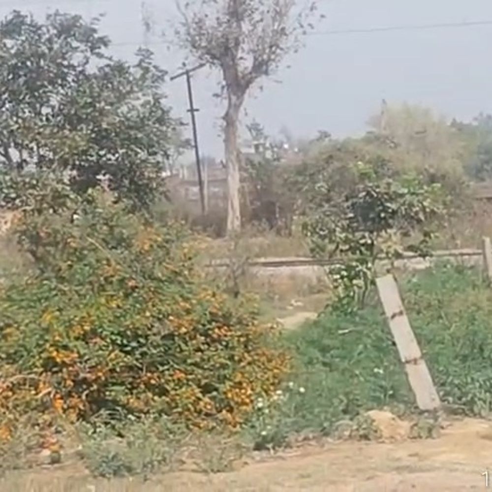 फर्रुखाबाद में बिना एस्टीमेट 11केवी लाइन शिफ्ट, जेई निलंबित:शीतगृह के पास प्लॉटिंग भूमि पर हुआ था अवैध काम