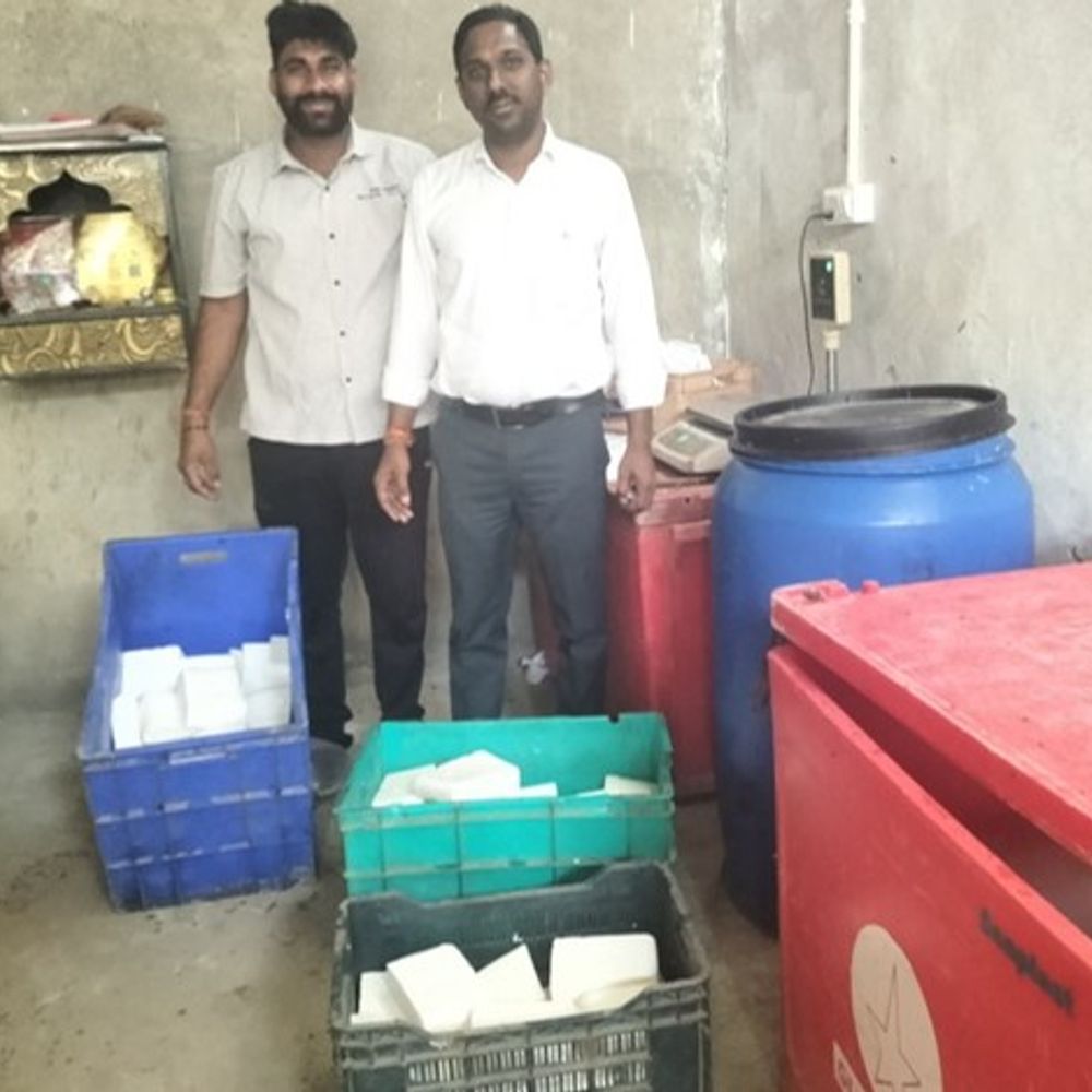 फूड सेफ्टी टीम की जयपुर में कार्रवाई:  250 किलोग्राम मिलावटी पनीर पकड़ा; 190 रुपए किलो की दर से खरीदकर शादियों में करना था सप्लाई – Jaipur News