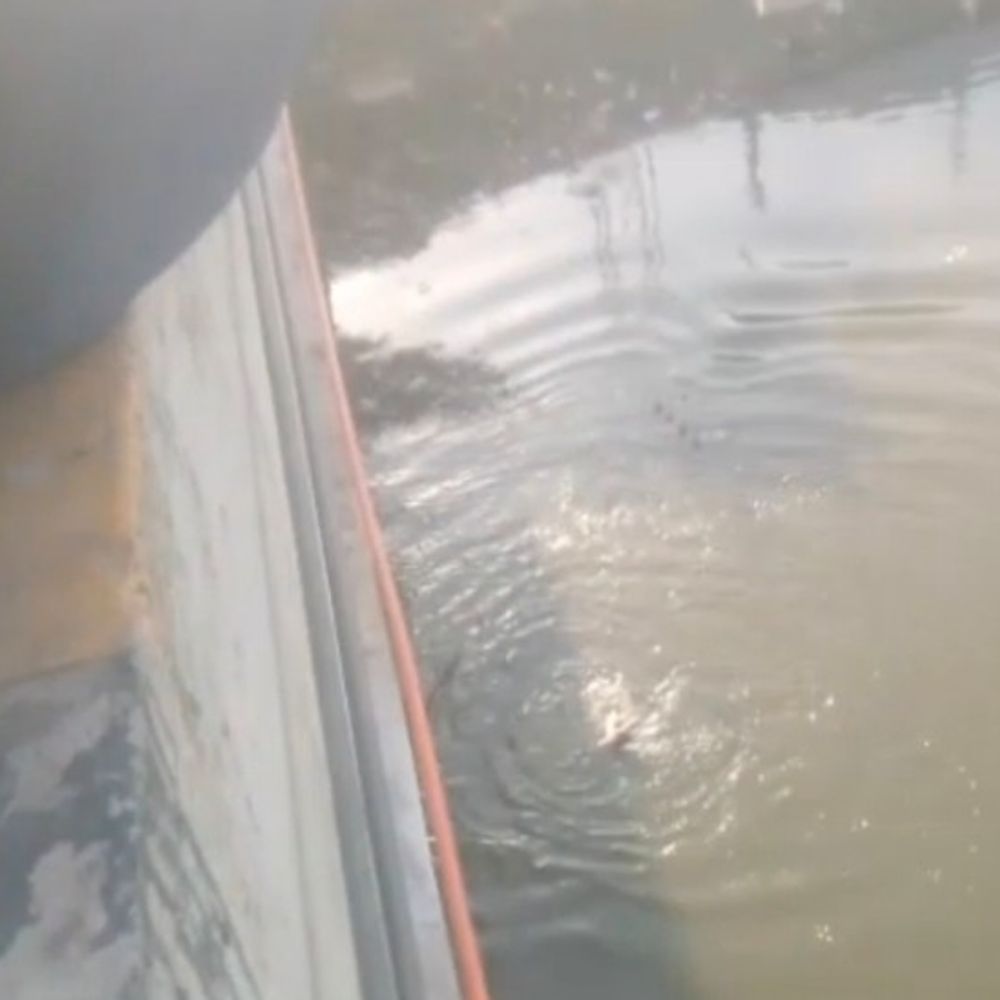 पुल की रैलिंग पर बैठकर युवती ने नदी में लगाई-छलांग:शाहजहांपुर में कपड़े धो रहे लोगों ने बचाया, परिवार को लौटाया, VIDEO