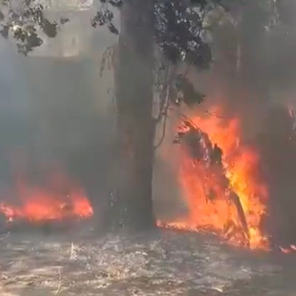 अमेठी में पावर हाउस में लगी आग, वायर ड्रम राख:पास के गेहूं के खेत तक फैली लपटें, लाखों का हुआ नुकसान