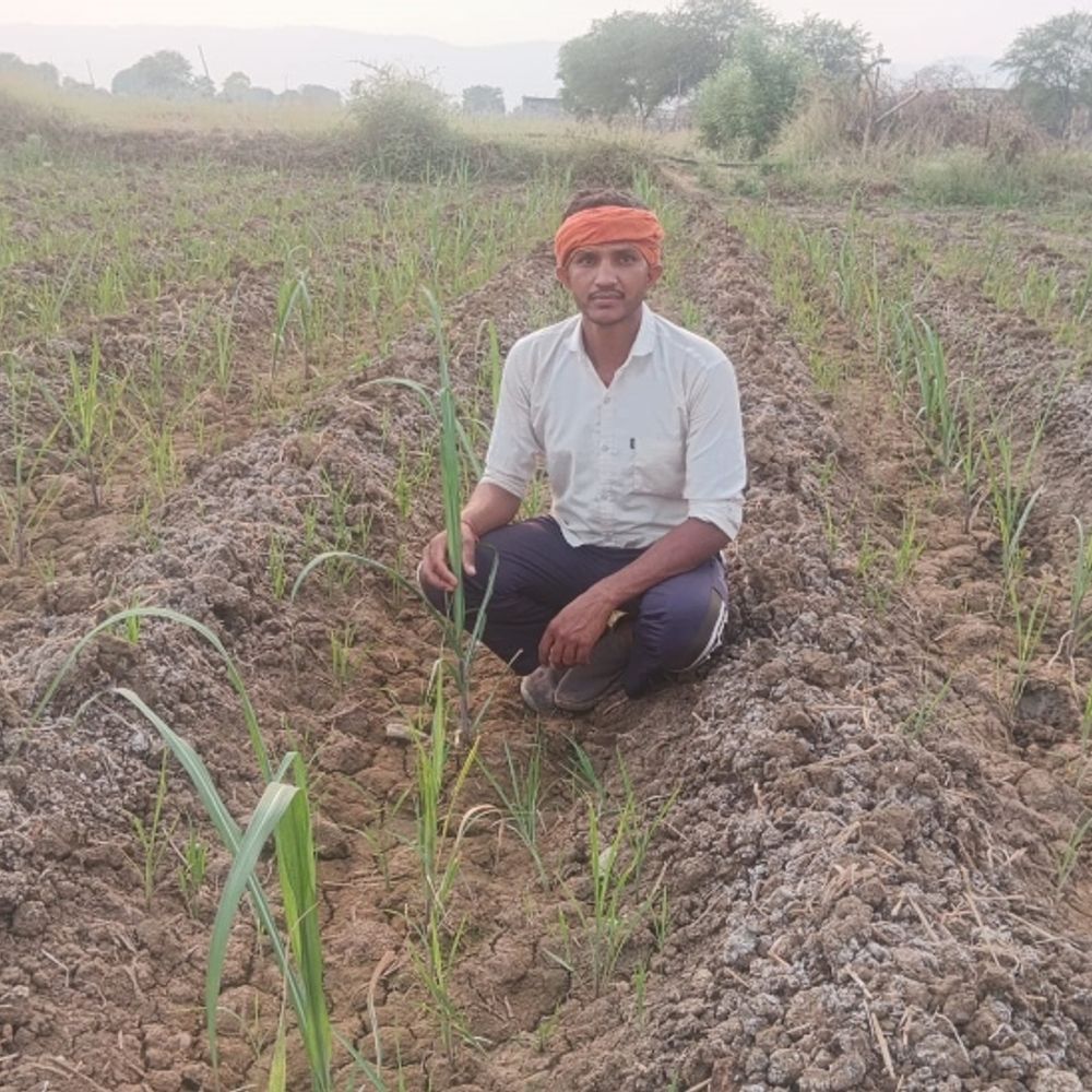 मोबाइल से सीखी तकनीक:गन्ना उत्पादन 300 से बढ़कर 500 क्विंटल पहुंचा, कबीरधाम के किसान की 2 एकड़ की खेती 6 एकड़ तक पहुंची, मुनाफा भी तगड़ा