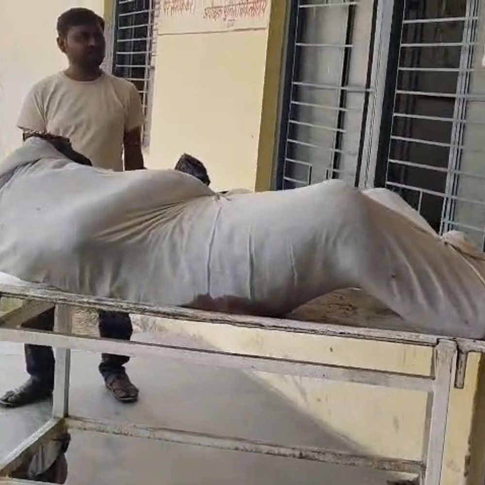 इटावा के प्रकाश नगर में बंद मकान से मिला शव:दुर्गंध आने पर पड़ोसियों ने दी सूचना, पुलिस ने दरवाजा तोड़कर लाश निकाली