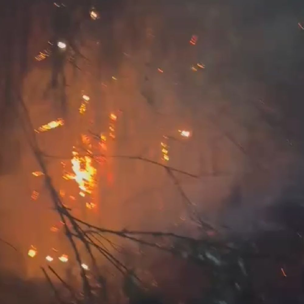 देवरिया के बभनी गांव में भीषण आग:लाखों की संपत्ति जलकर राख, दमकल ने एक घंटे में पाया काबू