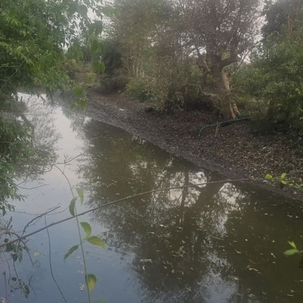 गाय खोजने निकले युवक की मौत:देवरी में नदी किनारे मिला शव; पानी मोटर के तारों से करंट लगने की आशंका