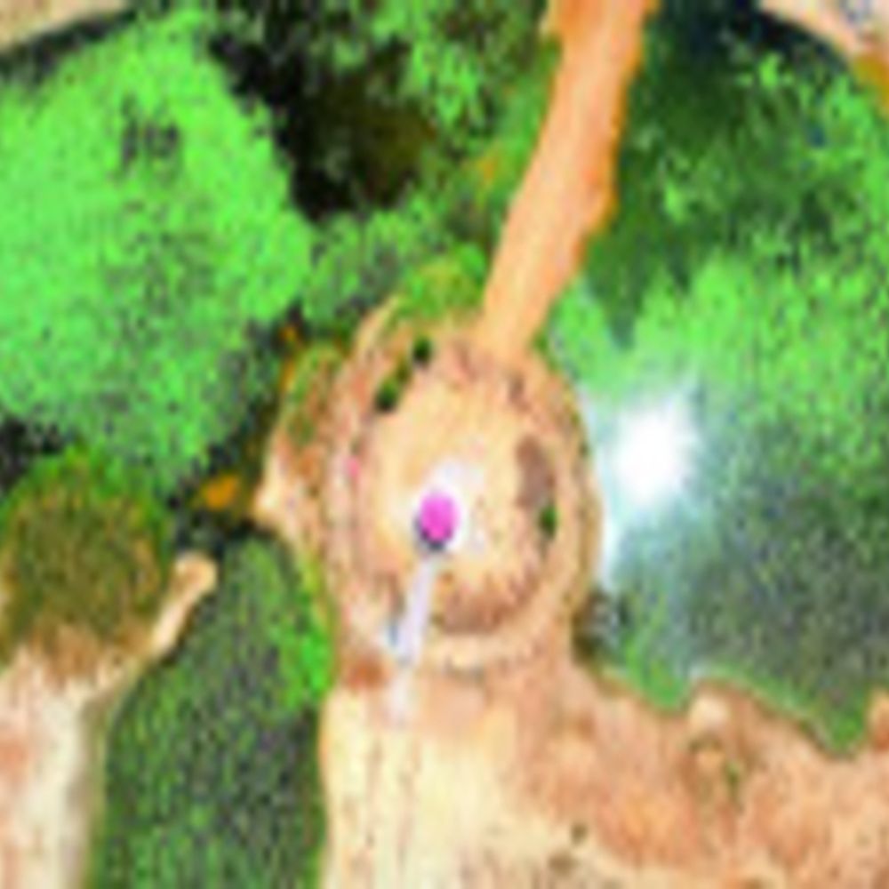 निखरा जसदेर तालाब:  शहर में घूमने की नई जगह, यहां झोंपड़ी व वॉकिंग ट्रैक – Barmer News