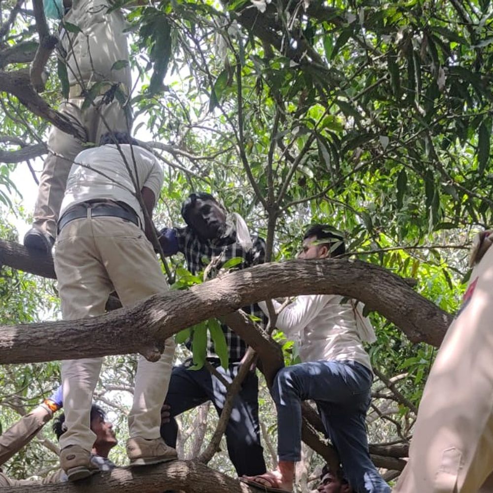 शाहजहांपुर में लापता ग्रामीण का शव पेड़ से लटका मिला:पड़ोसियों से मुकदमे और नाबालिग बेटियों की चिंता से था परेशान