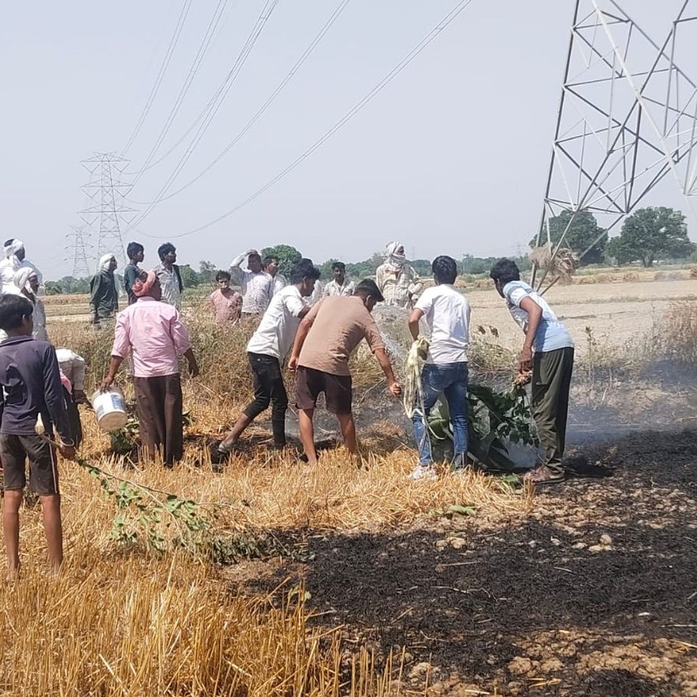 चिंगारी से गेहूं की फसल में लगी आग:औरैया में 3 किसानों का लाखों का नुकसान, ग्रामीणों ने आग पर काबू पाया