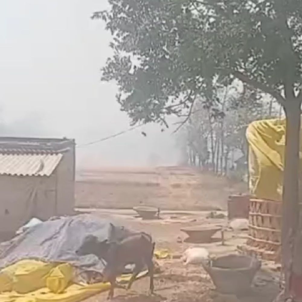 देवरिया में भीषण आग, लाखों का नुकसान:गेहूं की फसल और भूसा जलकर राख, पुलिस और ग्रामीणों ने मिलकर बुझाई