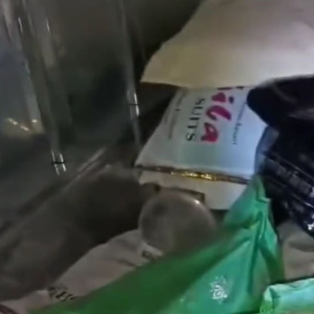 हरदोई के चंपतपुरवा में नकाबपोश चोरों ने की चोरी:किसान परिवार खेत गया था, 8 लाख के जेवर पार, पुलिस जांच में जुटी