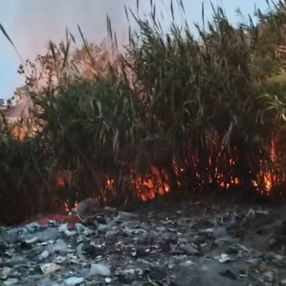 अस्पताल गेट पर झाड़ियों में लगी आग:रामपुर में दमकल ने एक घंटे में पाया काबू, बड़ा हादसा टला