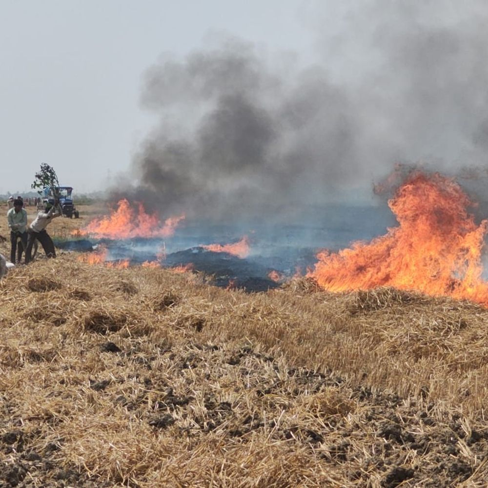 औरैया में गेहूं की फसल में भीषण आग:करीब 100 बीघा फसल राख, दमकल ने एक घंटे में बुझाई