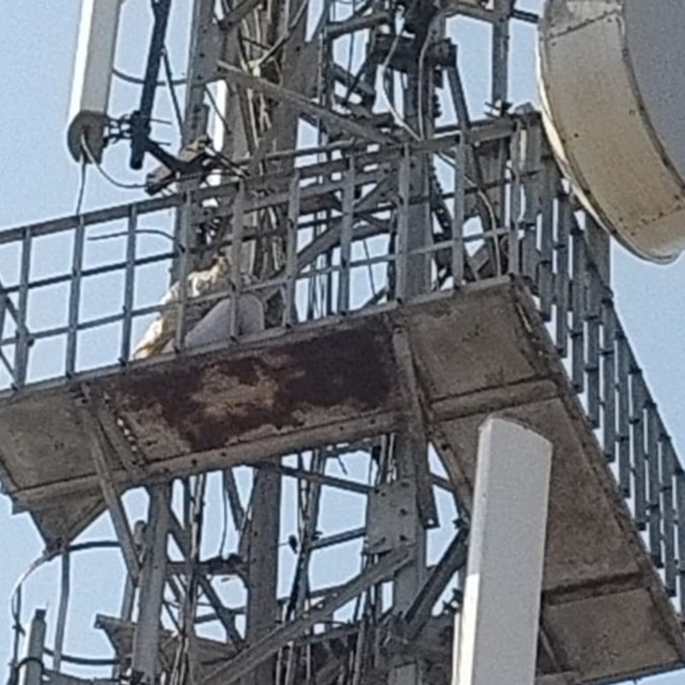 आजमगढ़ में प्रेमिका का हाई वोल्टेज ड्रामा:3 घंटे टावर पर रही, फायर ब्रिगेड ने उतारा; चार महीने पहले जेल भिजवा चुकी है