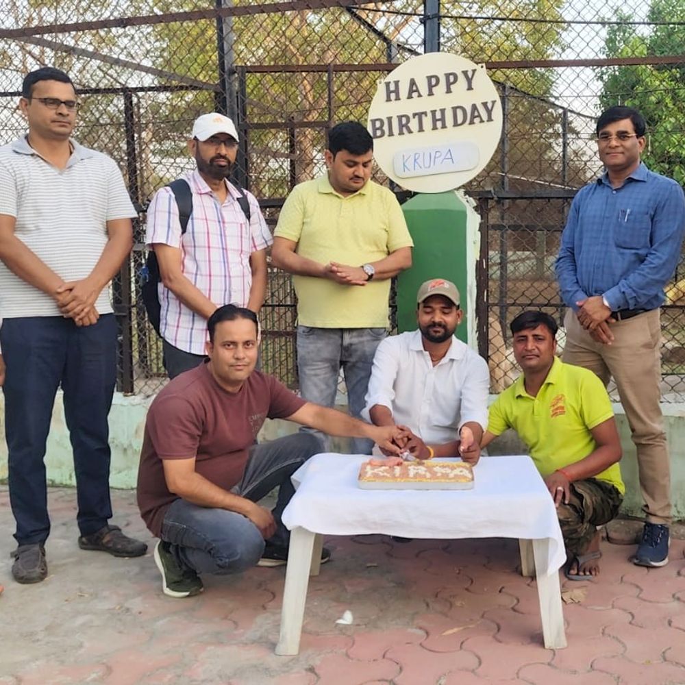 इटावा सफारी पार्क में शेरनी क्रूपा का पहला जन्मदिन:केक काटकर मनाया गया जश्न, चुनौतियों से जूझते हुए पूरा किया एक साल