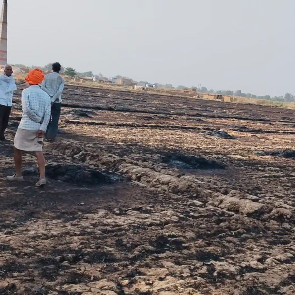 घाटमपुर के परास गांव में 20 बीघा फसल जलकर राख:ग्रामीणों ने फायर ब्रिगेड पहुंचने से पहले आग पर काबू पाया