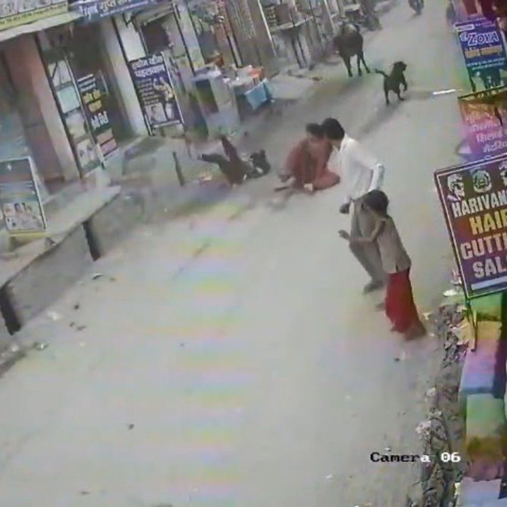 ग्रेटर नोएडा में सांड ने दो महिलाओं को टक्कर मारी:घायल, मौके पर मची अफरा-तफरी; घटना सीसीटीवी में कैद