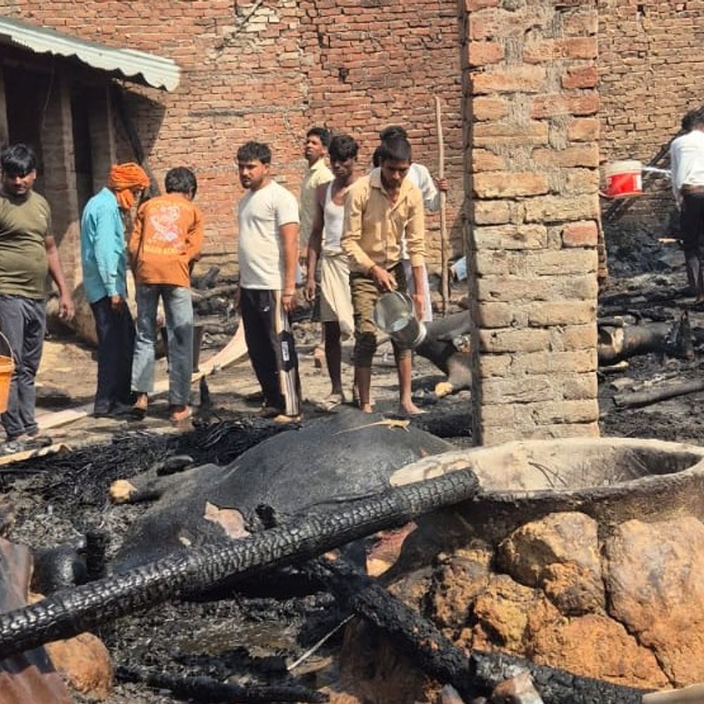 सीतापुर में बिजली के शॉर्ट सर्किट से घरों में आग:4 घर जलकर राख, 3 मवेशियों की मौत, फायर ब्रिगेड देर से पहुंची