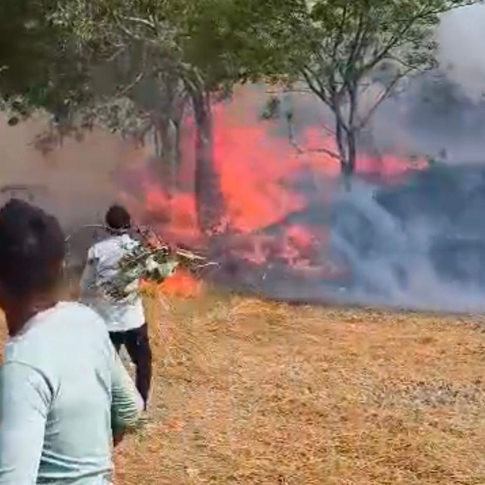 रायबरेली में गेहूं के खेत में आग लगी:पांच बीघे फसल राख, राजस्व टीम ने जांच शुरू की