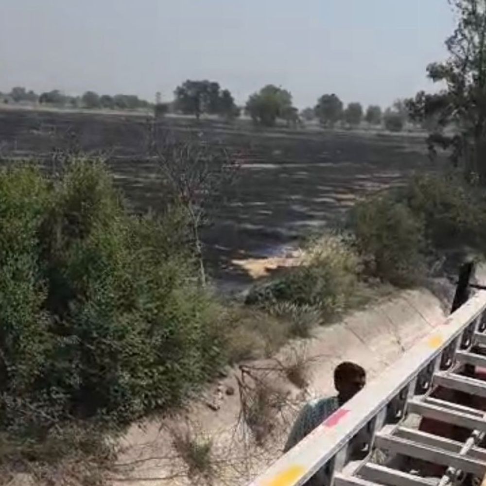 हांसी में 10 एकड़ गेहूं के फाने जले:  रजवाहे की तरफ से फैली आग, किसान ने ट्रैक्टर चलाकर फसल बचाई; मुआवजे की मांग – Hansi News