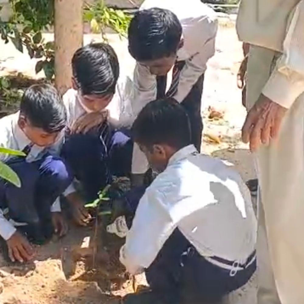 विद्यालयों में मनाया गया विश्व पृथ्वी दिवस:'हमारी पृथ्वी, हमारा भविष्य' थीम पर हुआ वृक्षारोपण