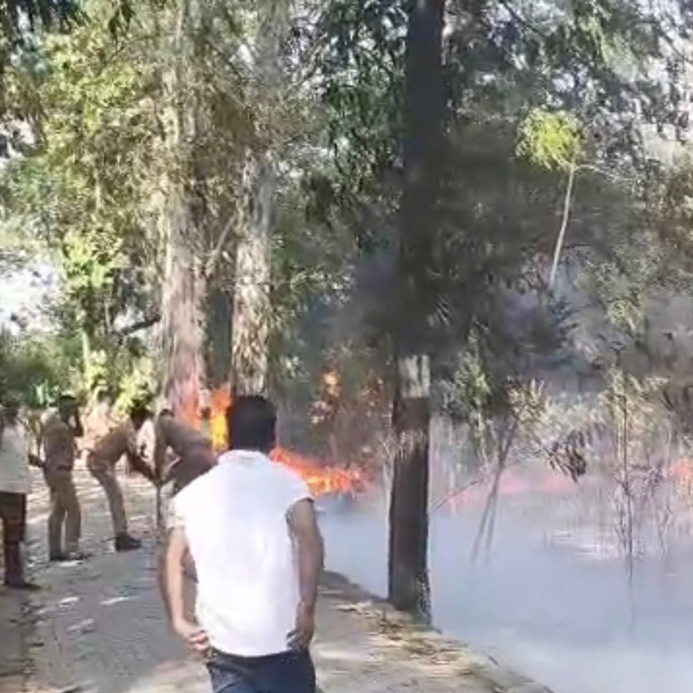 बिजनौर में वन विभाग की जब्त लकड़ियों में लगी आग:यूकेलिप्टस और सागौन की कीमती लकड़ी जलकर राख, दमकल ने पाया काबू