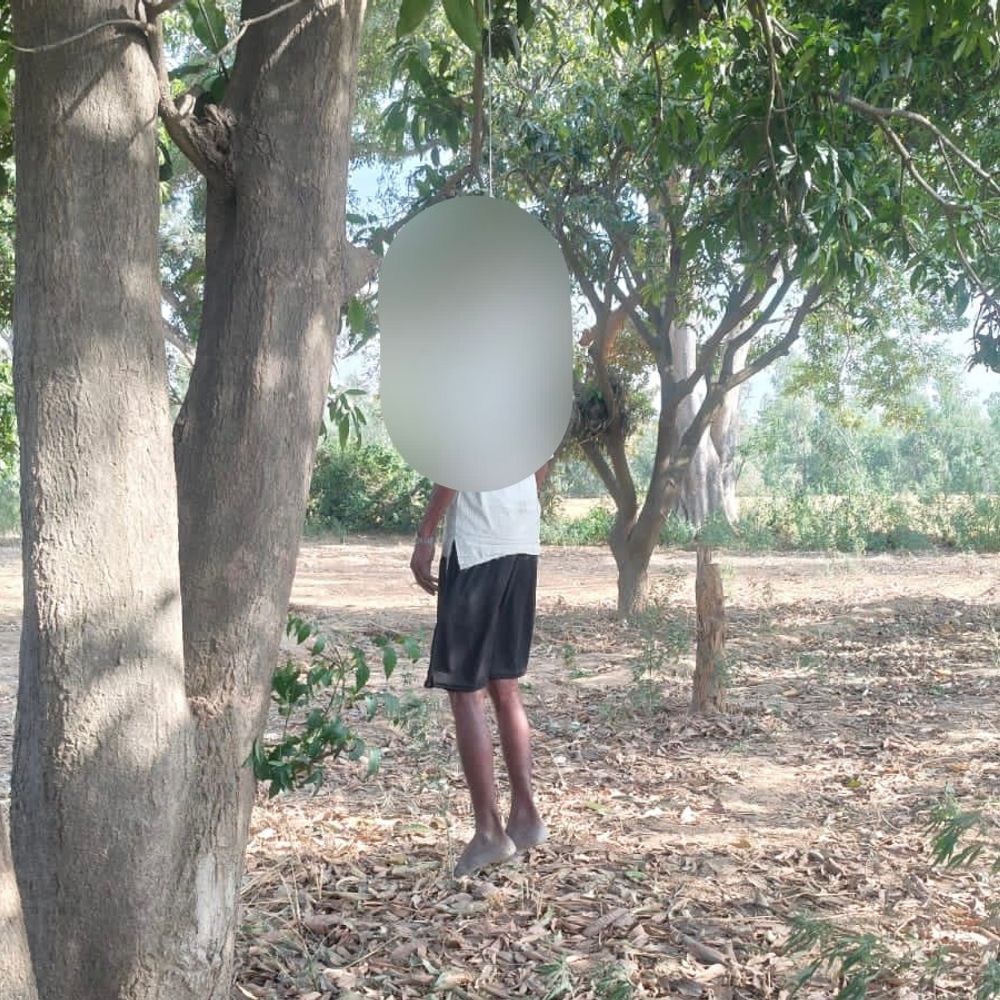 हरदोई में बुजुर्ग ने सुसाइड किया:सुबह घर से निकले थे, शाम को पेड़ से लटका मिला शव