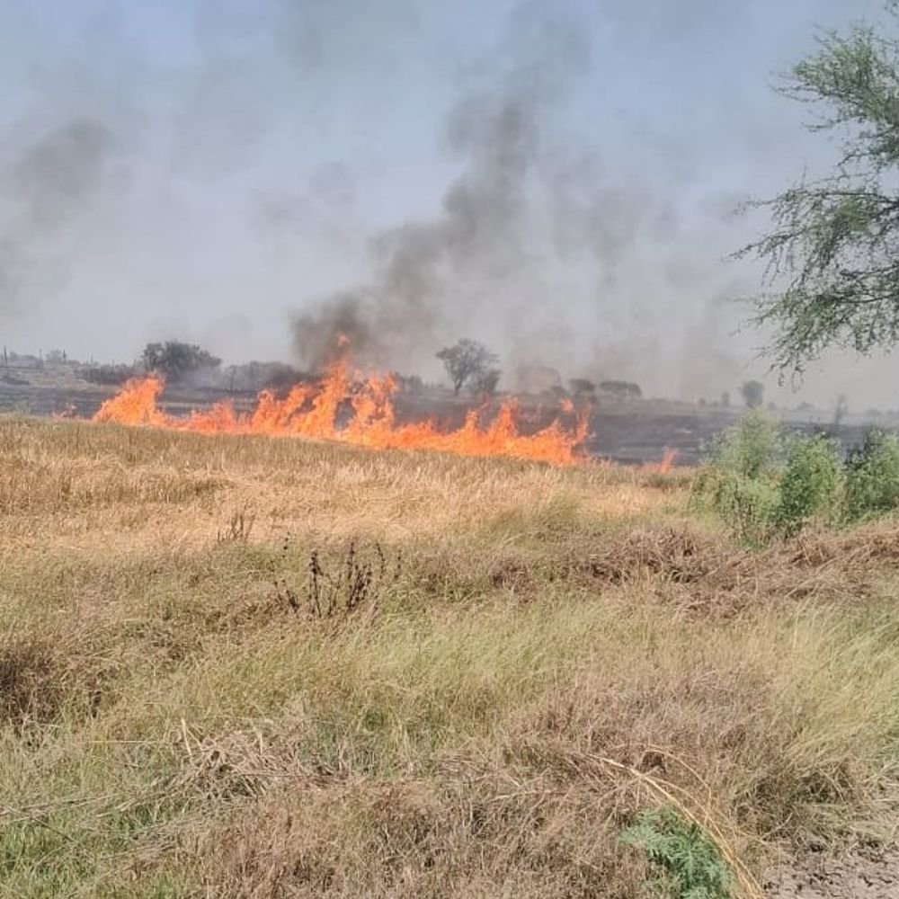 जालौन में भूसा मशीन से लगी आग:100 बीघा पराली और मूंग की फसल जलकर हुई राख, मुआवजे की मांग