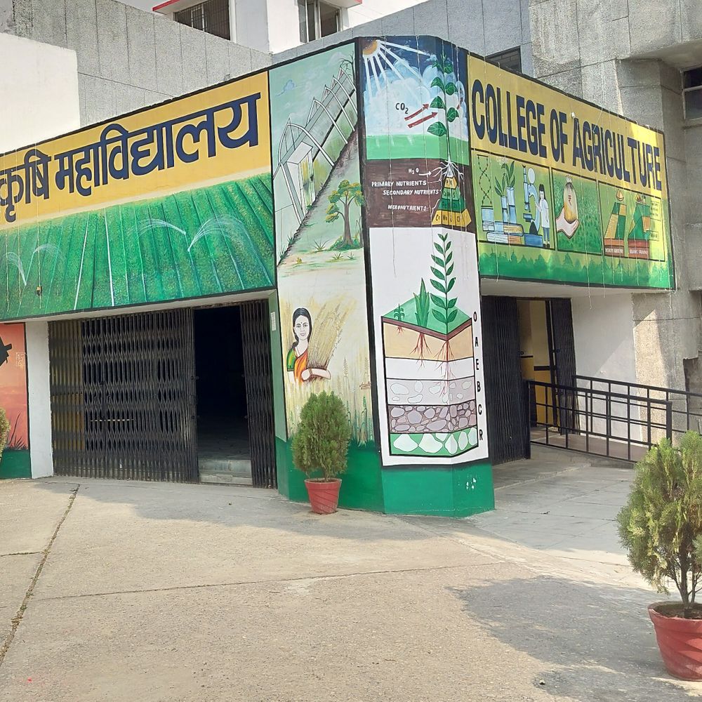 कृषि विश्वविद्यालय ने विकसित कीं बाढ़ सहनशील धान की 25किस्में:तराई और जलभराव वाले क्षेत्रों के लिए होंगी फायदेमंद