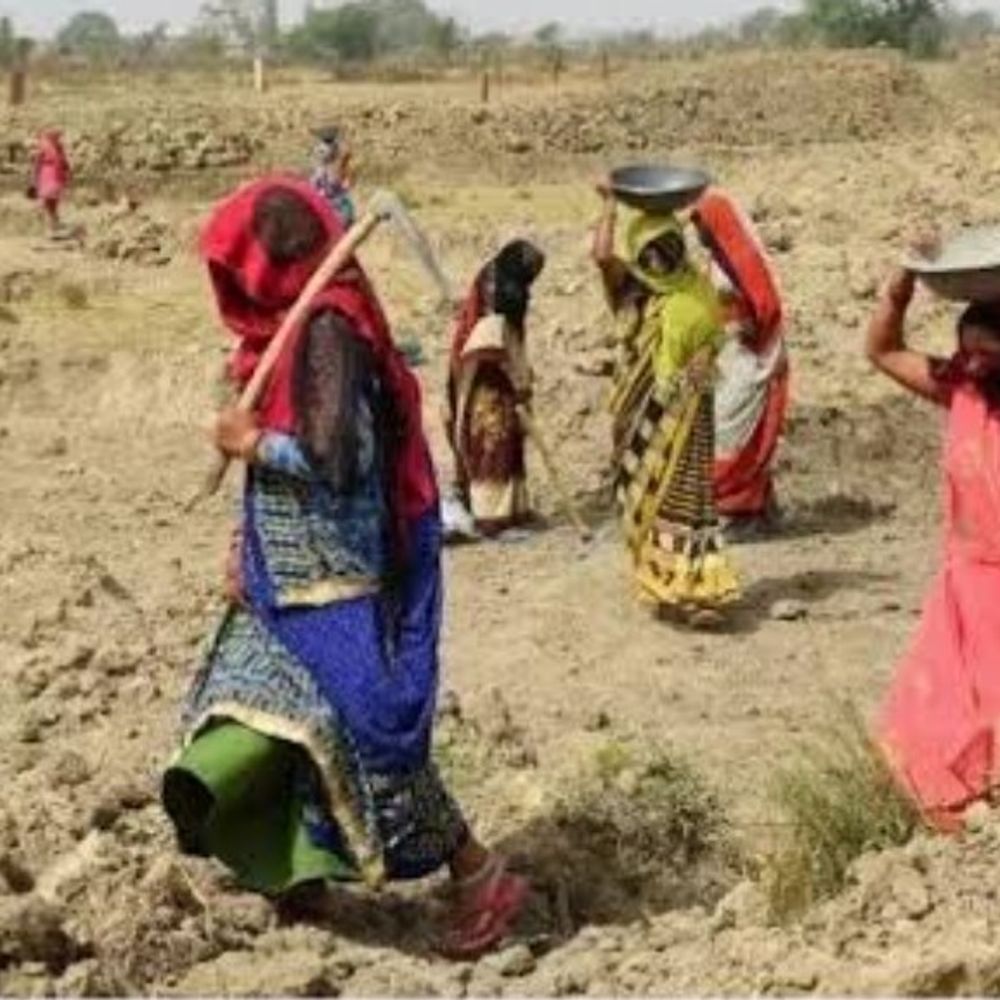 हरदोई में मनरेगा के 258 ट्रांजेक्शन रिजेक्ट:करीब 6.70 लाख रुपये की मजदूरी अटकी, तकनीकी खामियों से देरी