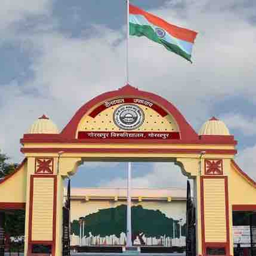 DDU में BSc बायोटेक्नोलॉजी कोर्स शुरू:UG-PG की सीटें बढ़ीं, नए सब्जेक्ट कॉम्बिनेशन को मंजूरी