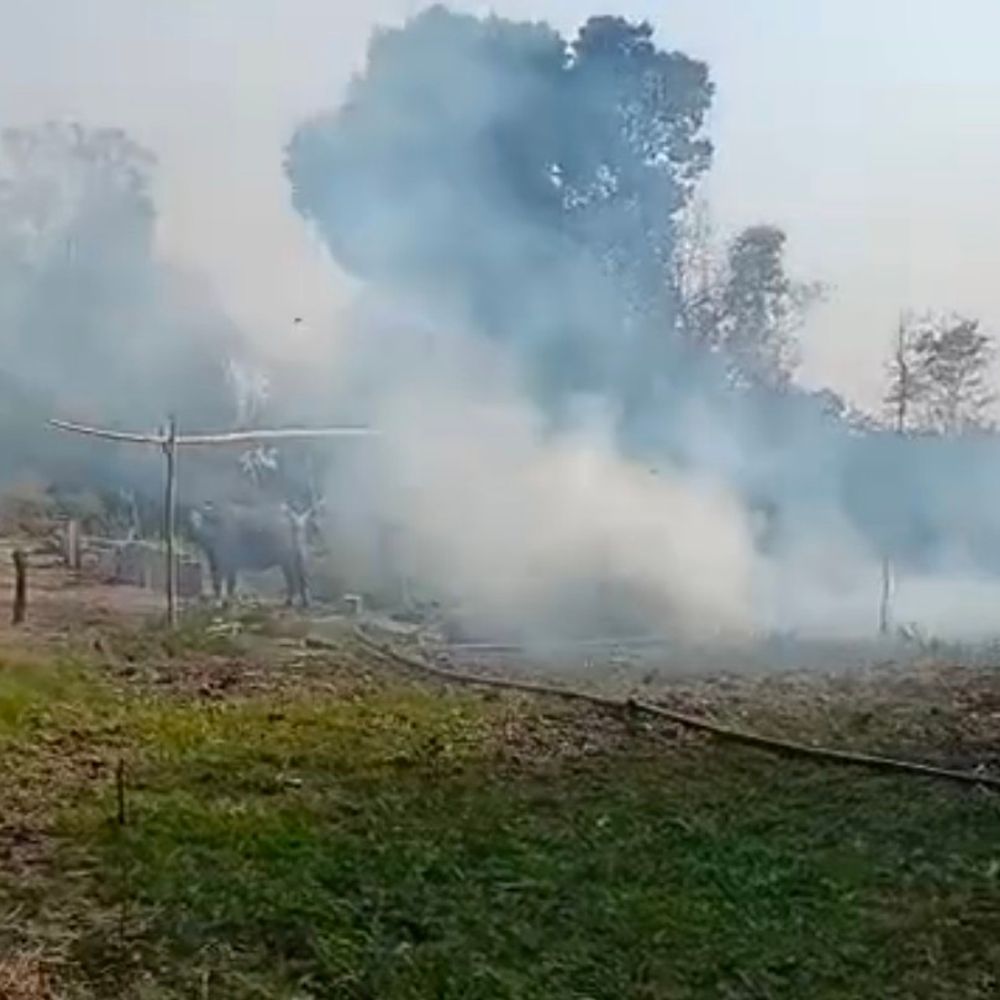 सीधी में आग से 4 एकड़ फसल जलकर राख:दमकल नहीं पहुंचने पर ग्रामीणों ने बुझाई; शॉर्ट सर्किट से करीब 30 से 35 पेड़ भी जले