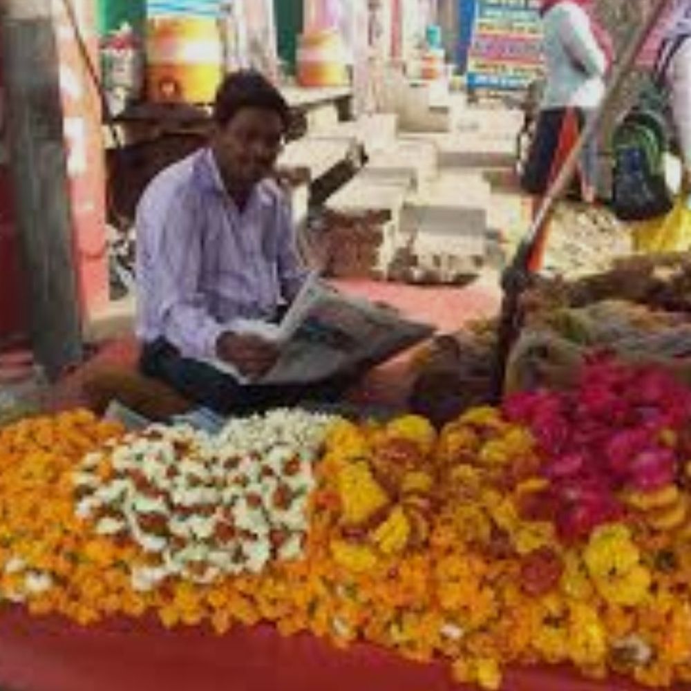 हरदोई में भीषण गर्मी से फूलों की खेती चौपट:मंडियों में आवक आधी, शादी सीजन में गुलाब, गेंदा, मोगरा के दाम दोगुने-तिगुने