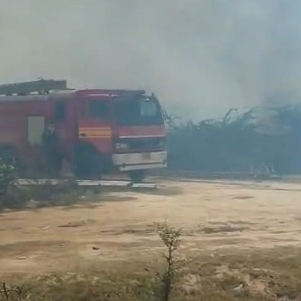 मथुरा डिफेंस कॉलोनी के पीछे जंगल में भीषण आग:दमकल की 6 गाड़ियां आग पर काबू पाने में जुटी