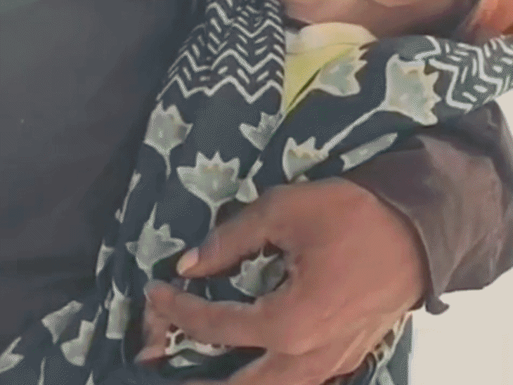 MP में 4 महीने की बच्ची की कुपोषण से मौत:  रीवा में जुड़वां भाई की हालत गंभीर; सुपरवाइजर-आंगनवाड़ी कार्यकर्ता को नोटिस; झोलाछाप का क्लिनिक सील – Rewa News