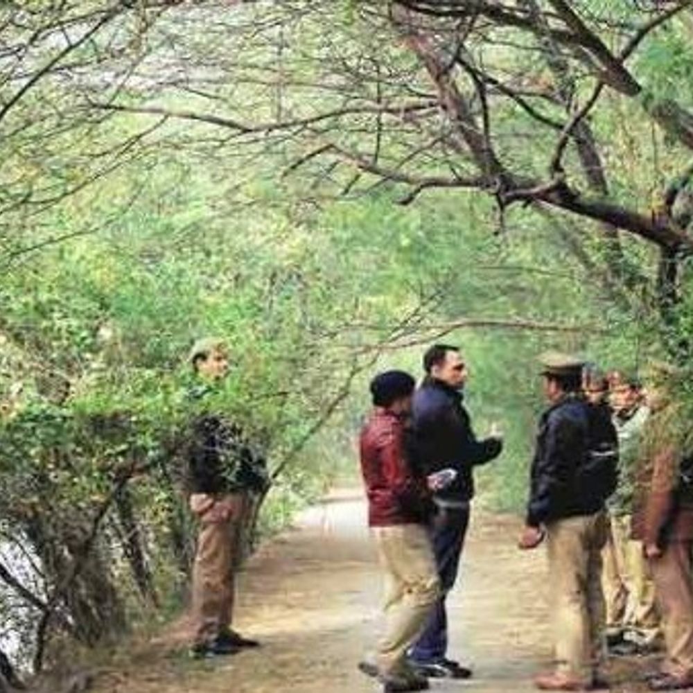 यूपी वन विभाग में 708 पदों पर भर्ती निकली:30 जून से 20 जुलाई तक ऑनलाइन आवेदन भरे जाएंगे