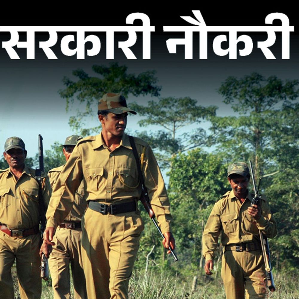 आज की सरकारी नौकरी:यूपी में फॉरेस्ट गार्ड के 708 पदों का नोटिफिकेशन जारी; पंजाब में 170 वैकेंसी, SSC कंबाइंड हिंदी ट्रांसलेटर के लिए आवेदन शुरू