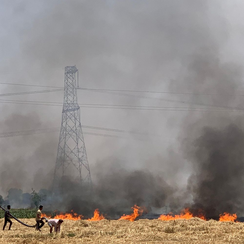 औरैया में खेतों में लगी आग:10 बीघा पराली जलकर राख, किसानों को हुआ भारी नुकसान