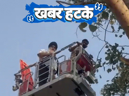 खबर हटके- 560 दिन बाद मोबाइल टावर से उतरा शख्स:2008 के बाद जन्मे लोगों के लिए सिगरेट बैन; कॉलेज ने लंगूर को नौकरी पर रखा